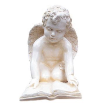 Putte mit Buch verkleinert