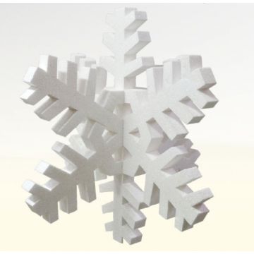 Schneeflocke 3D vergrößert