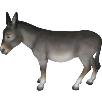 Esel  lebensgroß